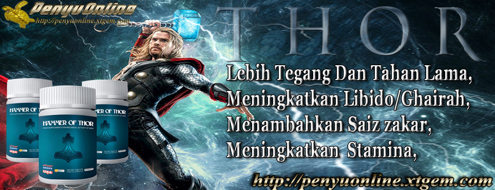 1bannerthor2
